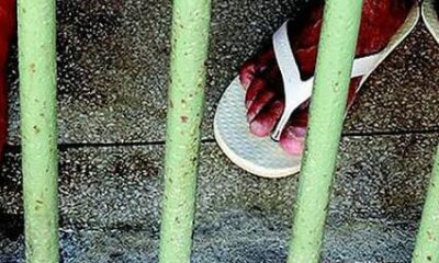 WhatsApp Image 2023-07-26 at 18.51.35 WhatsApp Image 2023-07-26 at 18.51.35