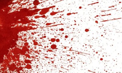 WhatsApp Image 2023-07-26 at 21.50.03 WhatsApp Image 2023-07-26 at 21.50.03