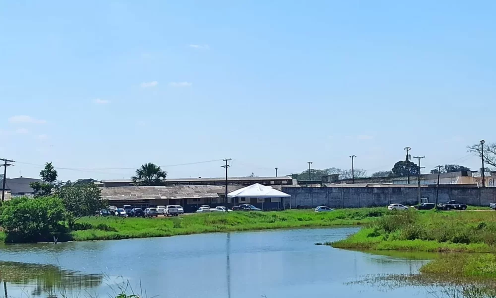 WhatsApp-Image-2023-07-27-at-11.32.50-jpeg WhatsApp-Image-2023-07-27-at-11.32.50-jpeg