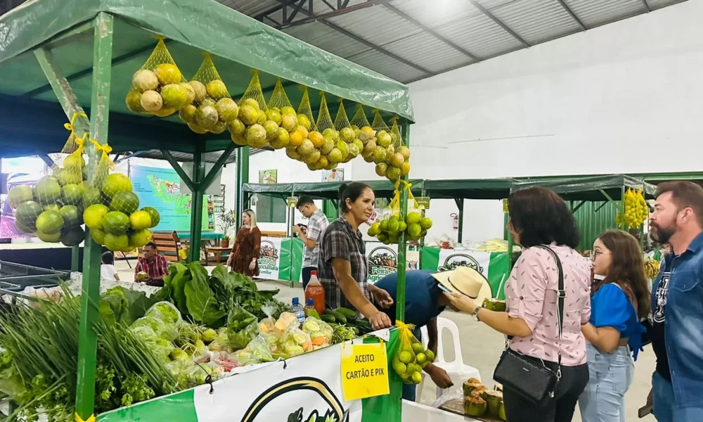 WhatsApp-Image-2023-07-30-at-20.45.52-2-jpeg WhatsApp-Image-2023-07-30-at-20.45.52-2-jpeg