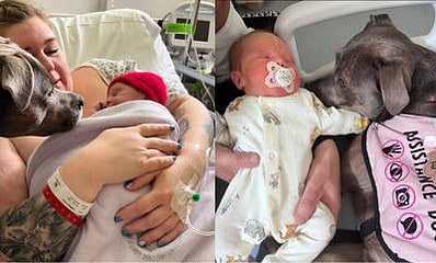 cachorra-fica-ao-lado-de-tutora-autista-durante-o-parto-04072023101443777 cachorra-fica-ao-lado-de-tutora-autista-durante-o-parto-04072023101443777