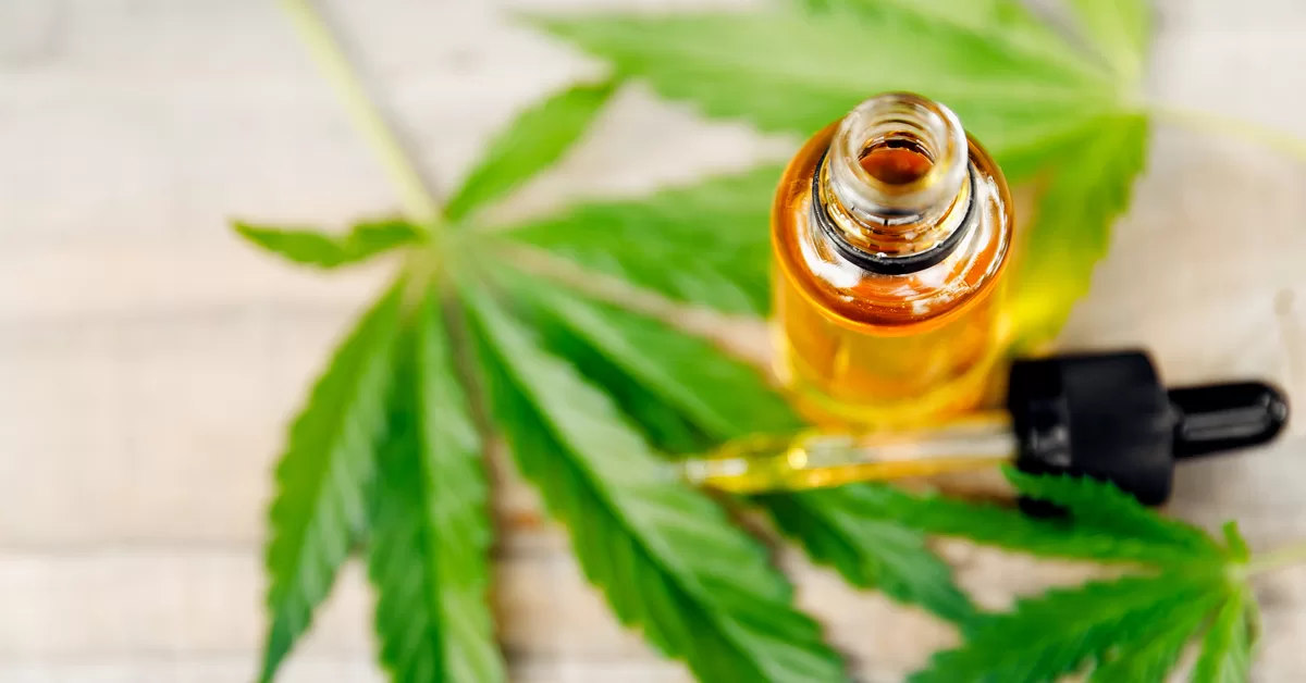 Medicamentos feitos à base da folha da maconha serão distribuídos pelo governo