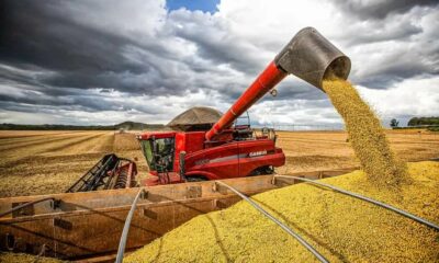 colheita-de-soja-1-1