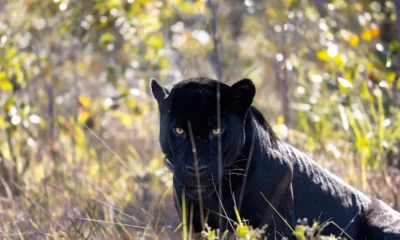 edu-3460-guirigo-veredas-edu-copia edu-3460-guirigo-veredas-edu-copia