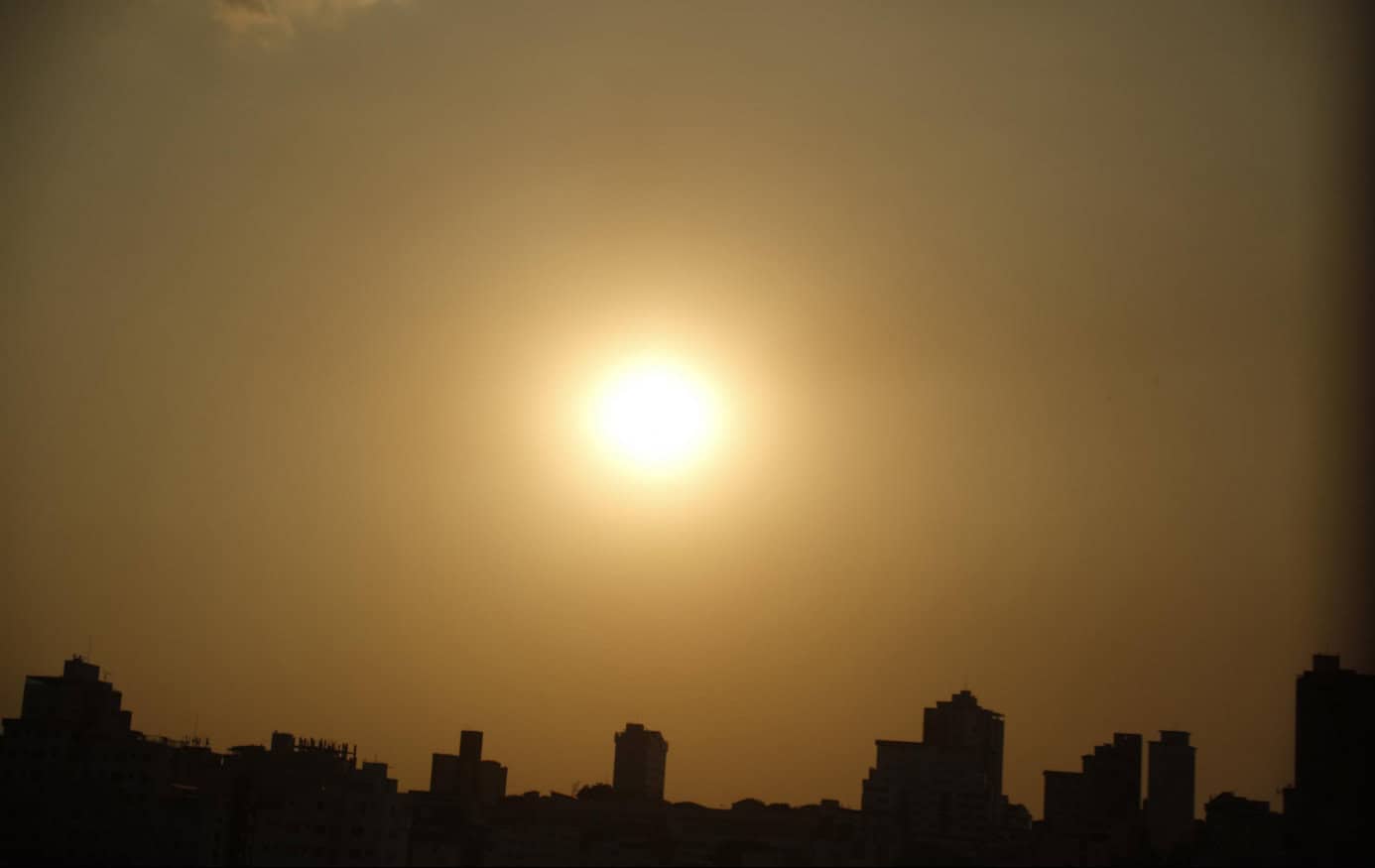 Planeta registrou o mês de junho mais quente da história em 2023, afirma observatório