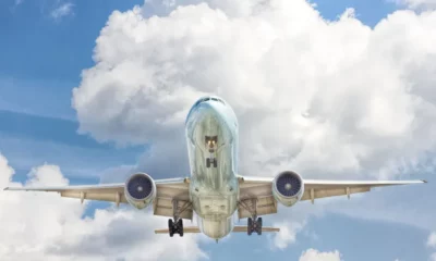 john-mcarthur-PrdNTrIrG8w-unsplash