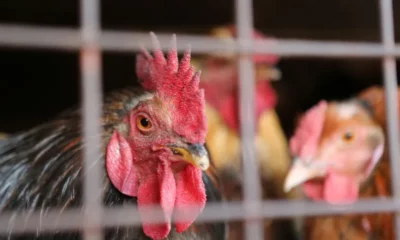 tagreuters.com2022binary_LYNXMPEI9U0OP-FILEDIMAGE