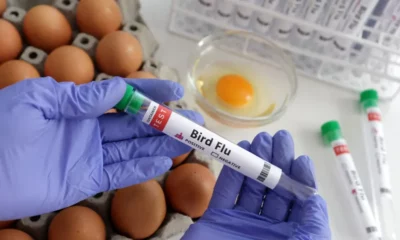 tagreuters.com2023binary_LYNXMPEJ2T0Q0-FILEDIMAGE tagreuters.com2023binary_LYNXMPEJ2T0Q0-FILEDIMAGE