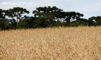 tagreuters.com2023binary_LYNXMPEJ6D0UE-FILEDIMAGE