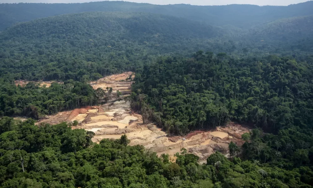 38197293234-7f04eda7b9-o 38197293234-7f04eda7b9-o