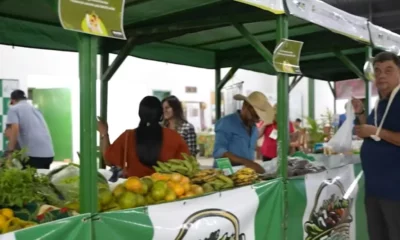 FEIRAA-jpg FEIRAA-jpg