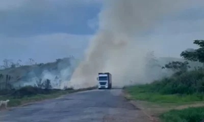 FOGO-BR-jpg FOGO-BR-jpg