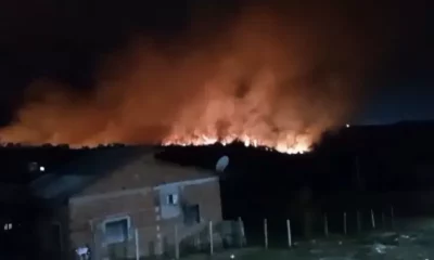 FOGOO–jpg FOGOO--jpg