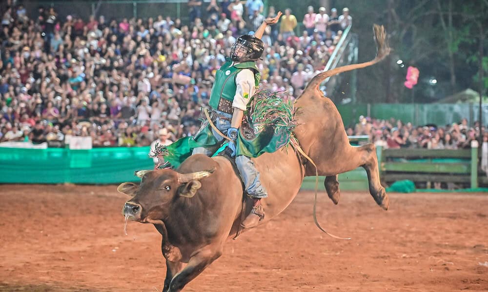 GUR_0674-scaled (1) GUR_0674-scaled (1)