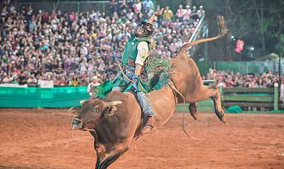 GUR_0674-scaled (1) GUR_0674-scaled (1)