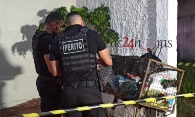 IMG-20230811-WA0283-jpg