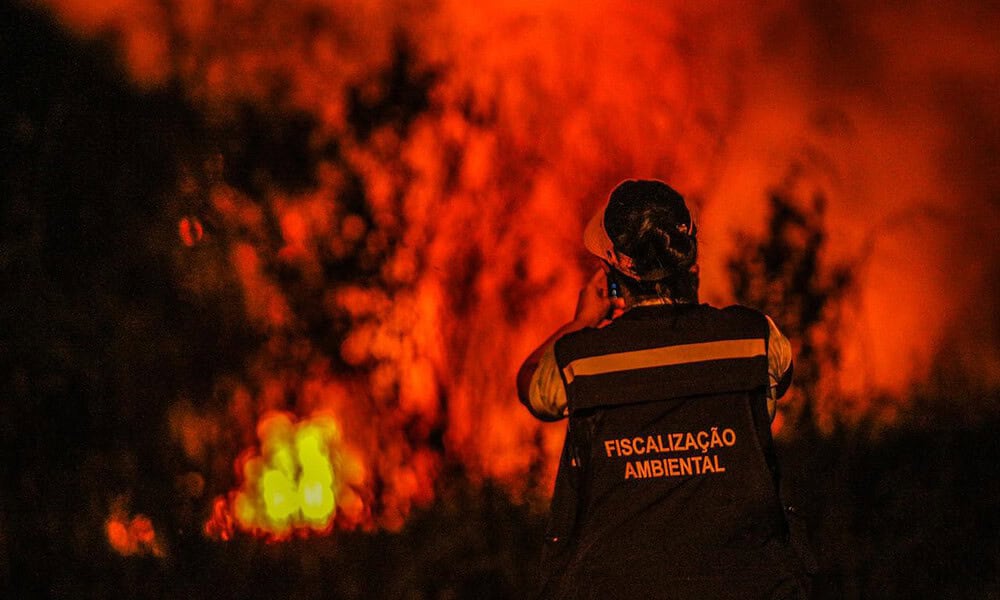 INCENDIO-QUEIMADA-FOGO-SERGIO-VALE-7 INCENDIO-QUEIMADA-FOGO-SERGIO-VALE-7