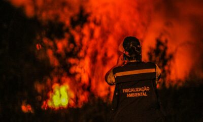 INCENDIO-QUEIMADA-FOGO-SERGIO-VALE-7
