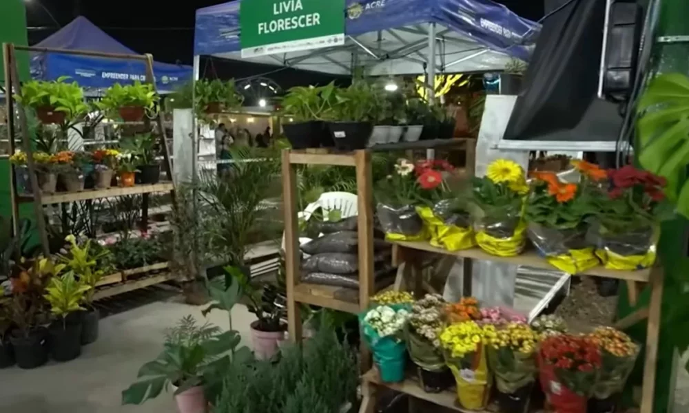 PLANTAS_2–jpg PLANTAS_2--jpg