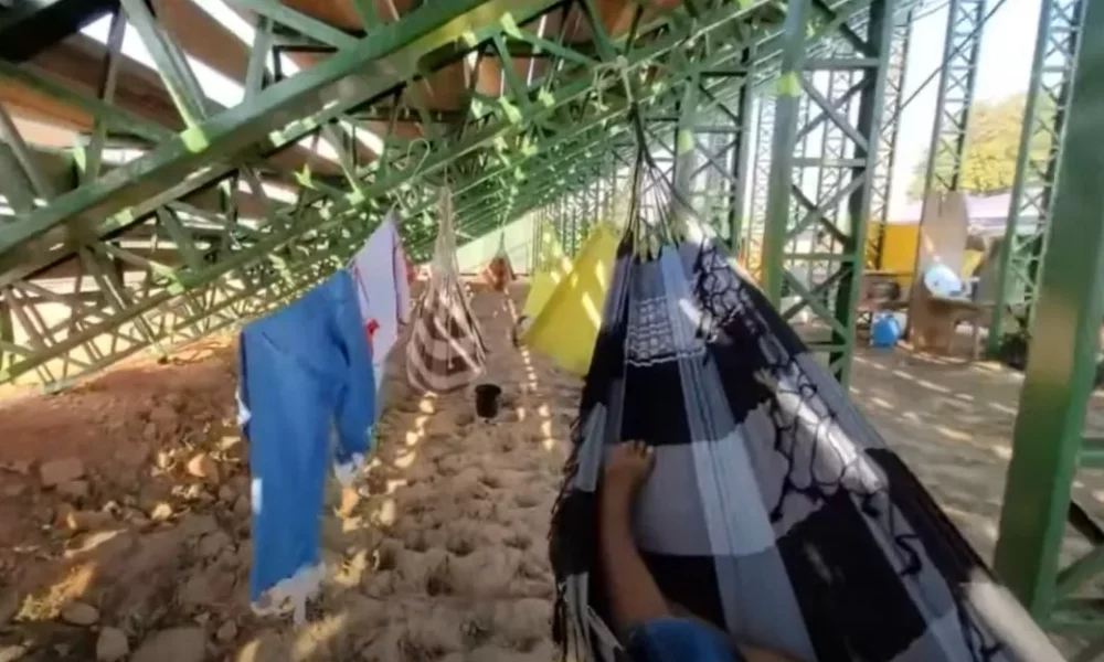 REDE–jpg REDE--jpg