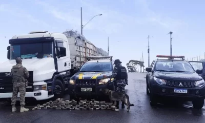 WhatsApp-Image-2022-07-25-at-09.34.18-jpeg WhatsApp-Image-2022-07-25-at-09.34.18-jpeg