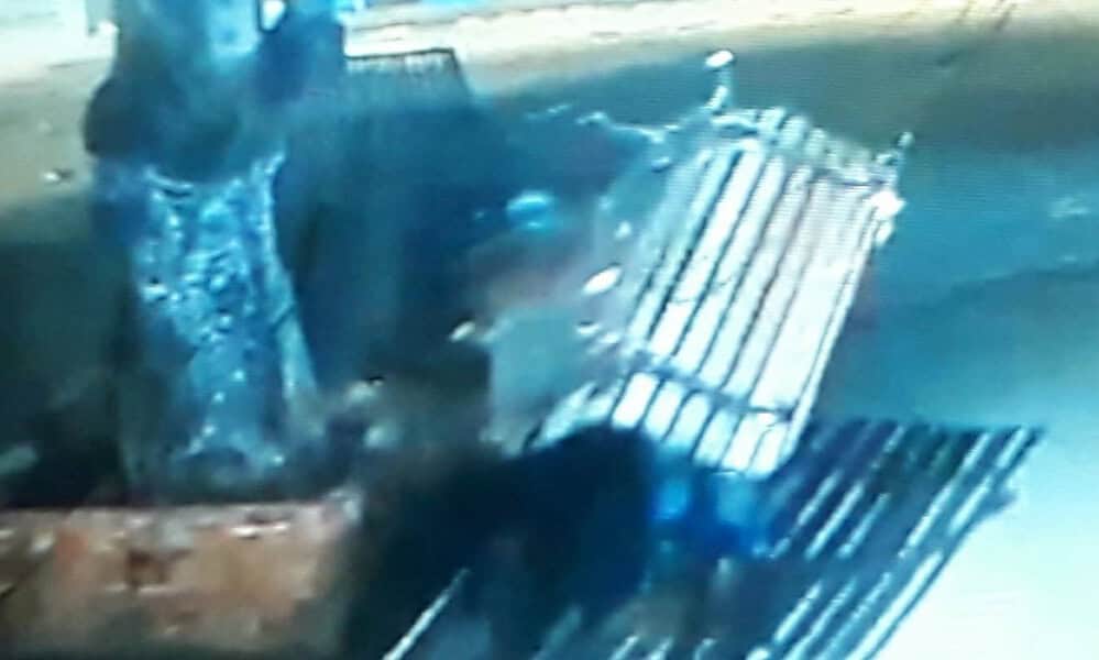 WhatsApp Image 2023-08-01 at 11.22.31 WhatsApp Image 2023-08-01 at 11.22.31