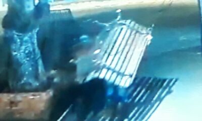 WhatsApp Image 2023-08-01 at 11.22.31 WhatsApp Image 2023-08-01 at 11.22.31