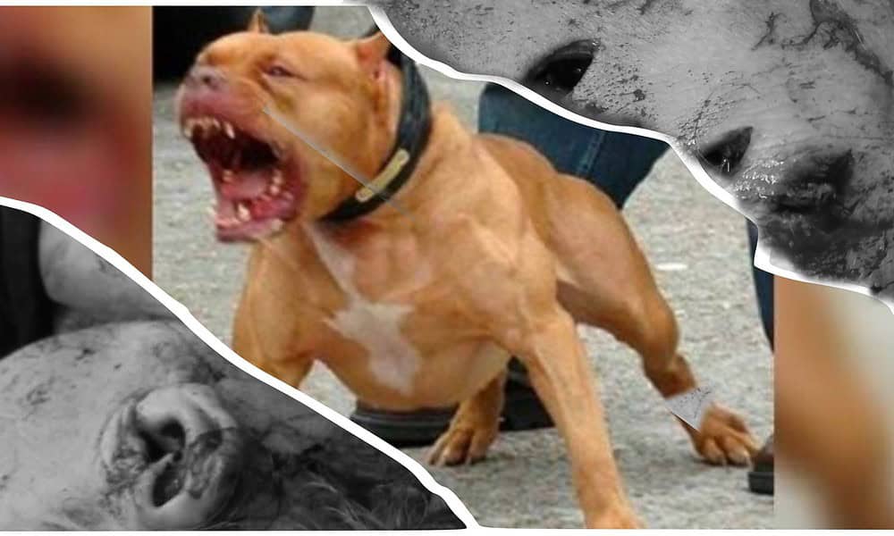 WhatsApp Image 2023-08-07 at 21.30.36 WhatsApp Image 2023-08-07 at 21.30.36