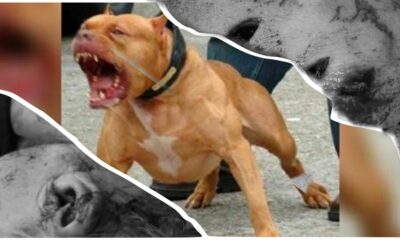 WhatsApp Image 2023-08-07 at 21.30.36 WhatsApp Image 2023-08-07 at 21.30.36