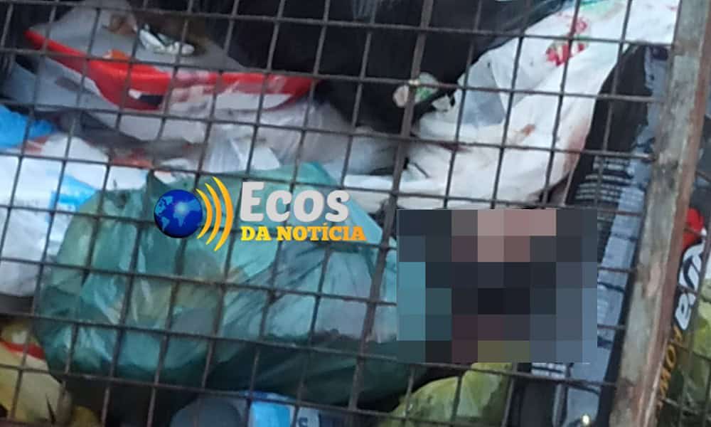 WhatsApp Image 2023-08-11 at 20.47.57 WhatsApp Image 2023-08-11 at 20.47.57