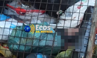 WhatsApp Image 2023-08-11 at 20.47.57 WhatsApp Image 2023-08-11 at 20.47.57