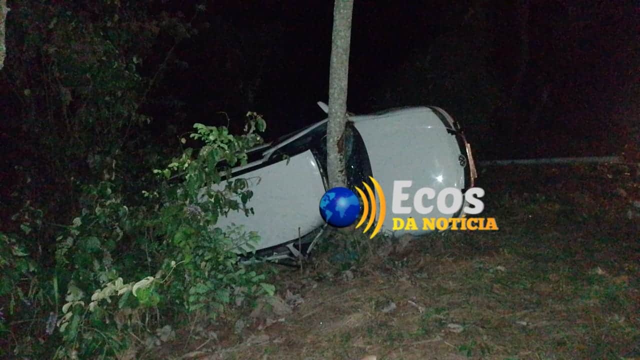 Capivara na estrada faz mulher perder controle de carro, capotar e deixar três feridos no Acre