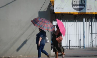 WhatsApp-Image-2023-08-23-at-15.15.19-jpeg WhatsApp-Image-2023-08-23-at-15.15.19-jpeg