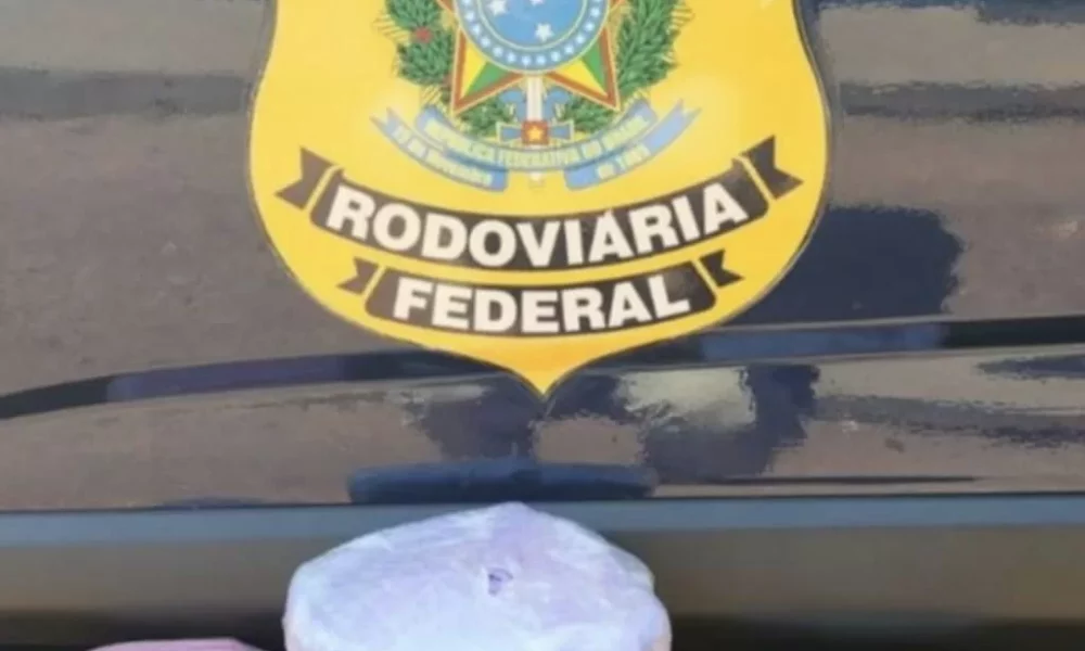 WhatsApp-Image-2023-08-24-at-13.23.59-jpeg WhatsApp-Image-2023-08-24-at-13.23.59-jpeg