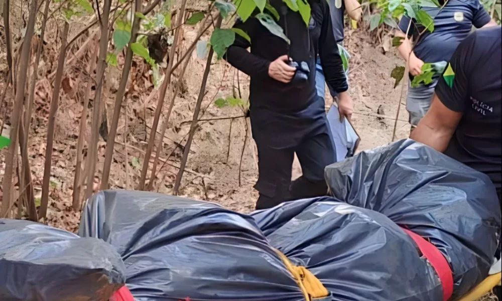 WhatsApp-Image-2023-08-26-at-14.53.38-jpeg WhatsApp-Image-2023-08-26-at-14.53.38-jpeg