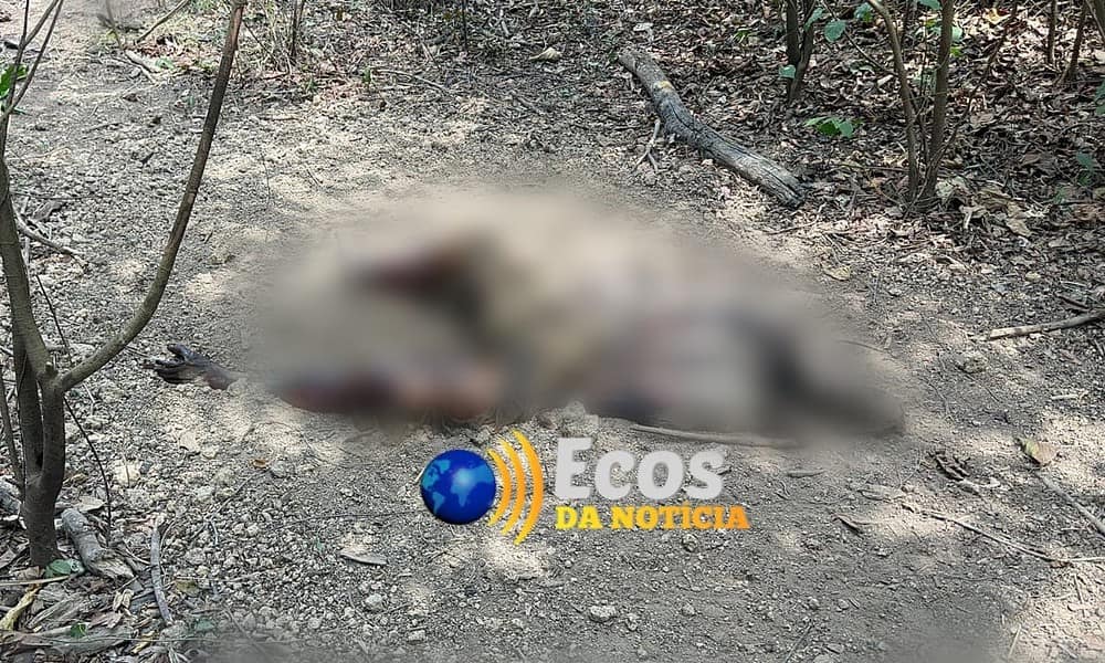 WhatsApp Image 2023-08-27 at 10.34.17 WhatsApp Image 2023-08-27 at 10.34.17