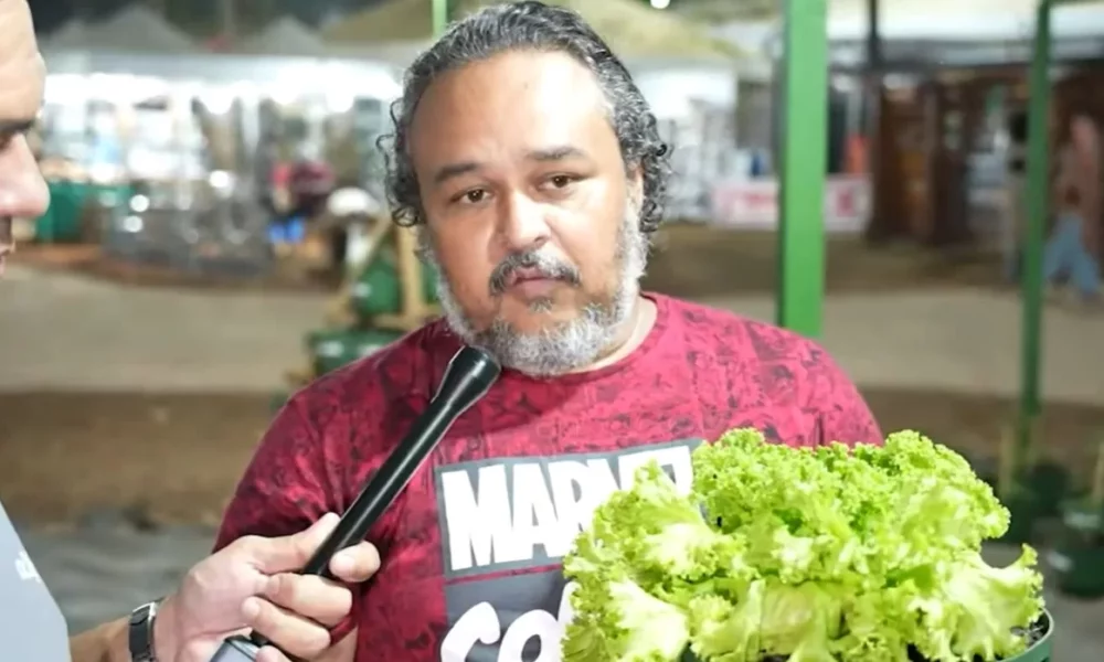 alface-jpg alface-jpg