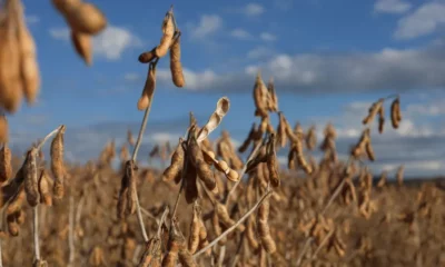 tagreuters.com2023binary_LYNXMPEJ730Q3-FILEDIMAGE