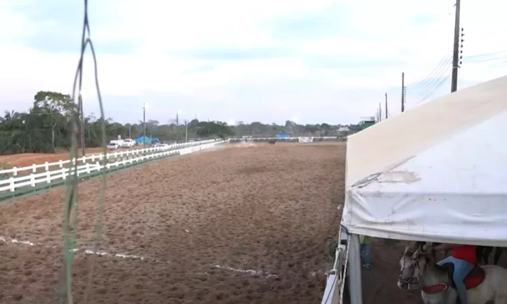 vaquejada–jpg vaquejada--jpg