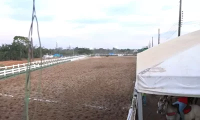 vaquejada–jpg vaquejada--jpg