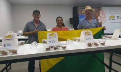 1-1536×1153 1-1536x1153