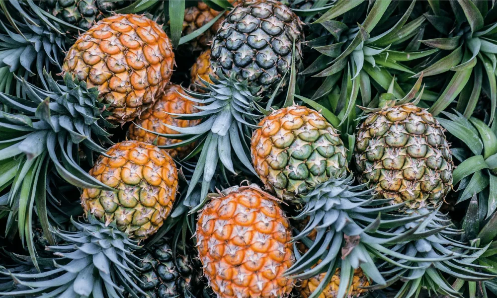 11-beneficios-do-abacaxi-para-a-saude.png_ 11-beneficios-do-abacaxi-para-a-saude.png_