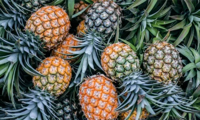 11-beneficios-do-abacaxi-para-a-saude.png_