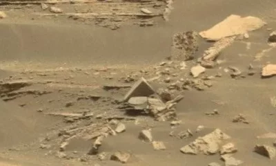 1448MR0071730320703086E01_DXXX-e1694539727226 (1)