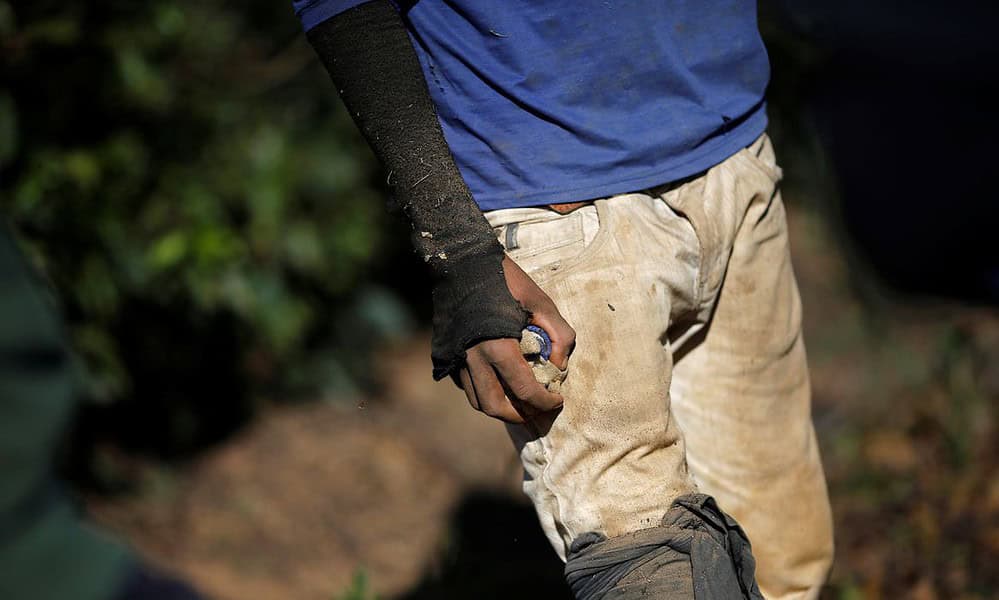 2021-03-02t103200z_1_lynxnpeh210kx_rtroptp_4_brazil-coffee-slavery 2021-03-02t103200z_1_lynxnpeh210kx_rtroptp_4_brazil-coffee-slavery