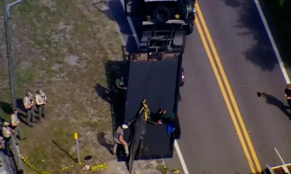 230924073943-florida-alligator-human-remains 230924073943-florida-alligator-human-remains