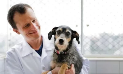 374733810_838137827680581_4992537654709836954_n-e1694795473453