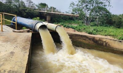 5d7c45b7-0994-4ac0-aa54-aae314d4cea6-800x445