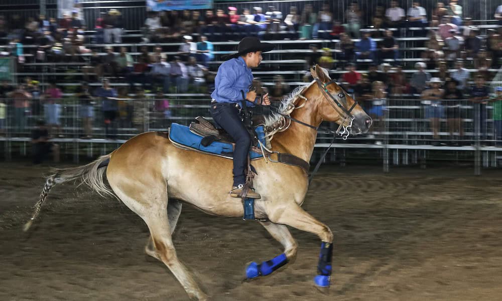 795df3e4-b145-40b6-b9d3-845ef831a61e-1536×1024 795df3e4-b145-40b6-b9d3-845ef831a61e-1536x1024