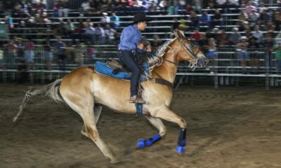 795df3e4-b145-40b6-b9d3-845ef831a61e-1536×1024 795df3e4-b145-40b6-b9d3-845ef831a61e-1536x1024